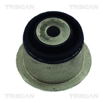 Bushing, axle beam TRISCAN 850024838