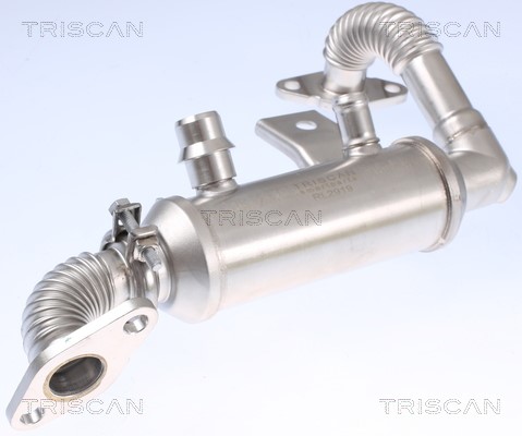 Cooler, exhaust gas recirculation TRISCAN 881316103 2