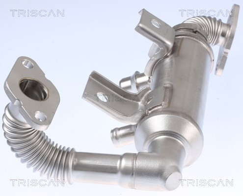 Cooler, exhaust gas recirculation TRISCAN 881316103 5