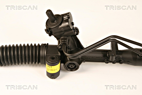 Steering Gear TRISCAN 851010421 3
