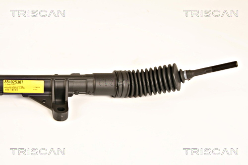 Steering Gear TRISCAN 851025307 4