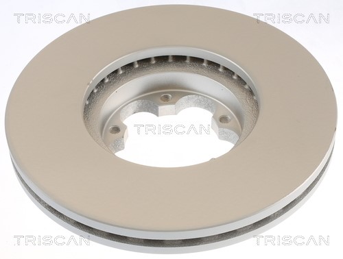 Brake Disc TRISCAN 812016184C 2