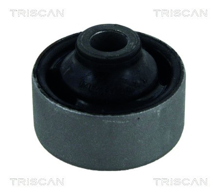 Mounting, control/trailing arm TRISCAN 850042804