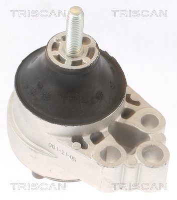 Mounting, engine TRISCAN 850516120