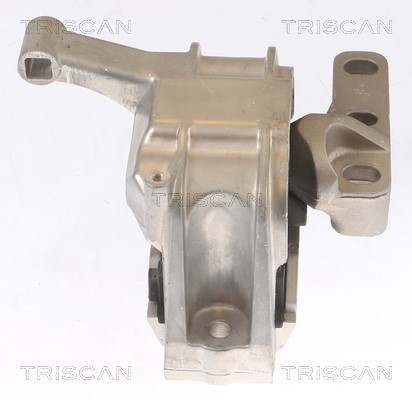 Mounting, engine TRISCAN 850529134