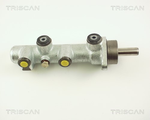 Brake Master Cylinder TRISCAN 813015110