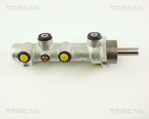 Brake Master Cylinder TRISCAN 813015112