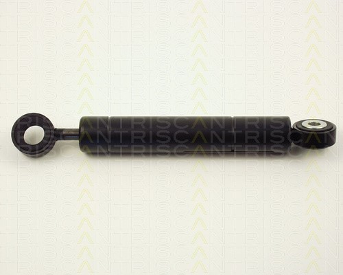 Vibration Damper, V-ribbed belt TRISCAN 87102316