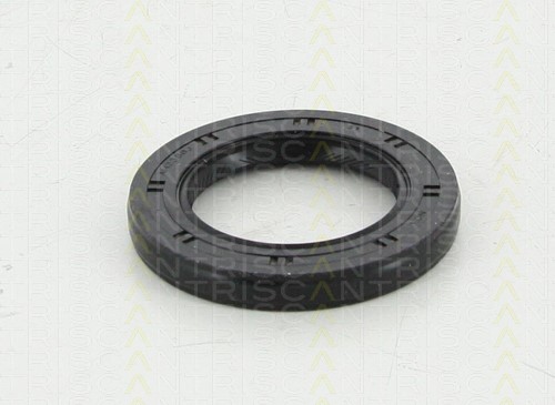 Shaft Seal, differential TRISCAN 855069002 2