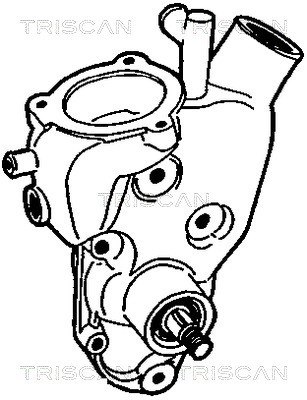 Water Pump, engine cooling TRISCAN 860010825 2