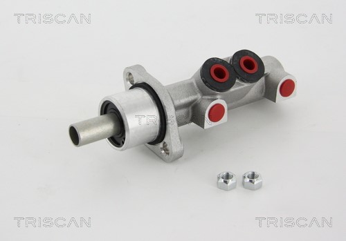 Brake Master Cylinder TRISCAN 813025145