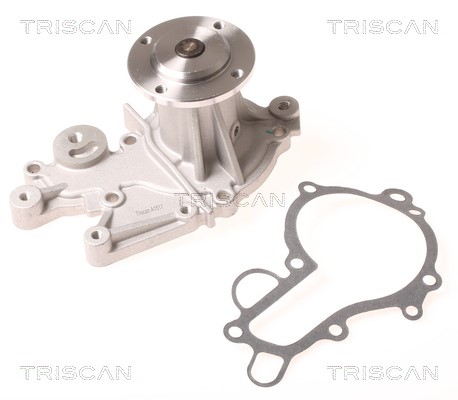 Water Pump, engine cooling TRISCAN 860069001