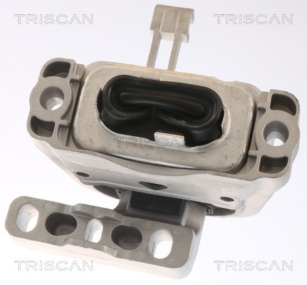 Mounting, engine TRISCAN 850529146 2