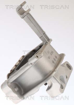 Mounting, engine TRISCAN 850529146 3