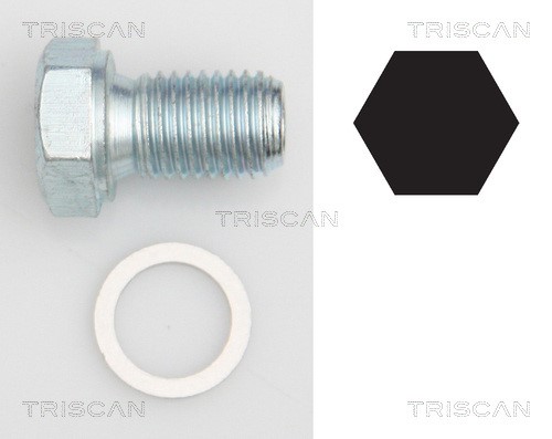 Screw Plug, oil sump TRISCAN 95001101