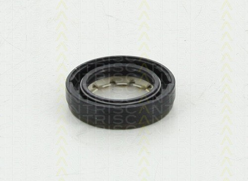 Shaft Seal, differential TRISCAN 855010043
