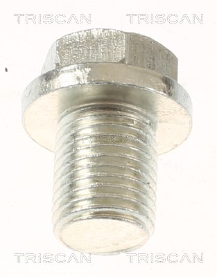 Screw Plug, oil sump TRISCAN 95004301