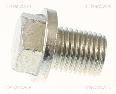 Screw Plug, oil sump TRISCAN 95004301 2
