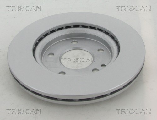 Brake Disc TRISCAN 812023171C 2