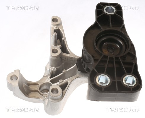 Mounting, engine TRISCAN 850525121 2