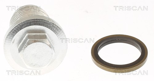 Screw Plug, oil sump TRISCAN 95002406 2