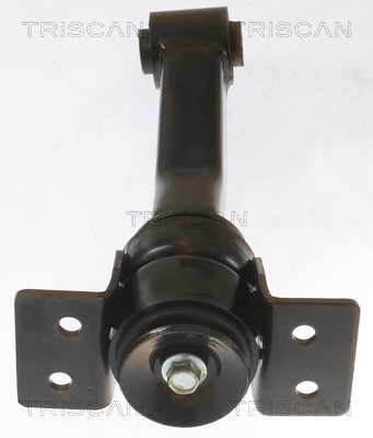 Mounting, engine TRISCAN 850516100 2