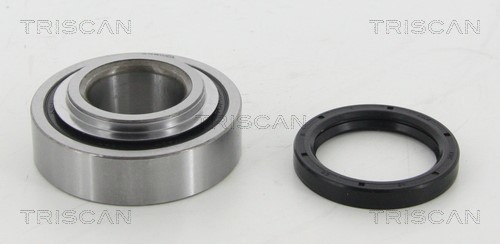Wheel Bearing Kit TRISCAN 853041208