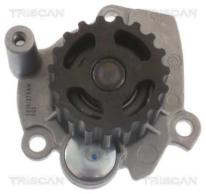 Water Pump, engine cooling TRISCAN 860029041 2