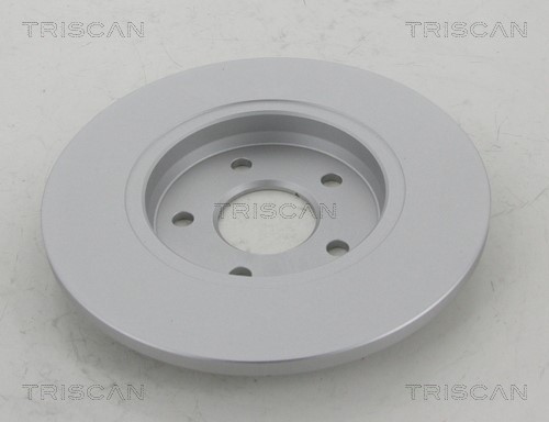 Brake Disc TRISCAN 812016139C 2