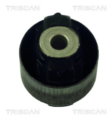 Mounting, control/trailing arm TRISCAN 850025802