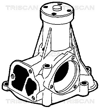 Water Pump, engine cooling TRISCAN 860023003 2