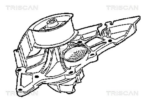Water Pump, engine cooling TRISCAN 860029004 2