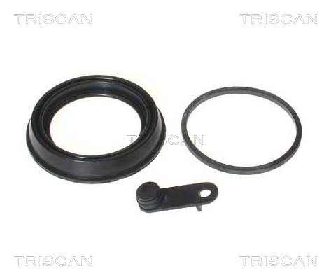 Seal, brake caliper piston TRISCAN 8170189974