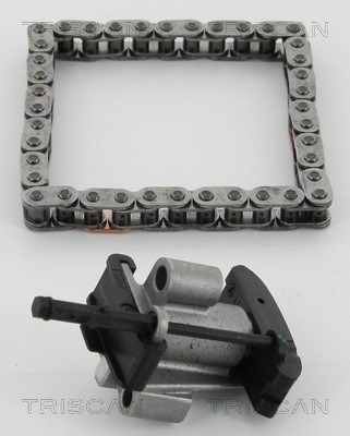 Timing Chain Kit TRISCAN 865010009