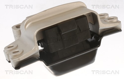Mounting, engine TRISCAN 850529112