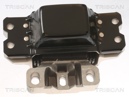 Mounting, engine TRISCAN 850529112 2