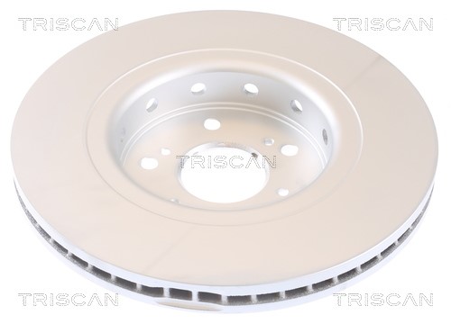 Brake Disc TRISCAN 812040180C 2