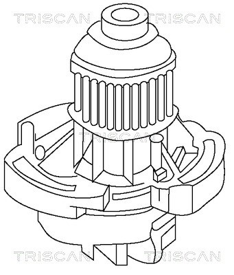 Water Pump, engine cooling TRISCAN 860029001 2