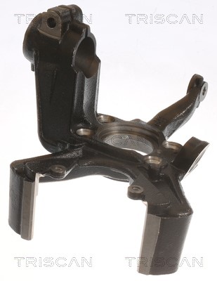 Steering Knuckle, wheel suspension TRISCAN 850029714