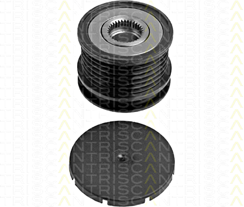 Alternator Freewheel Clutch TRISCAN 8641234004