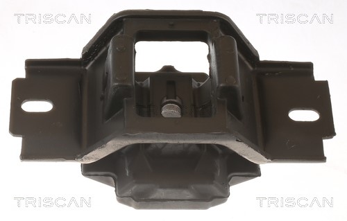 Mounting, engine TRISCAN 850510123