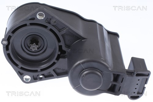 Control Element, parking brake caliper TRISCAN 8170208018 3