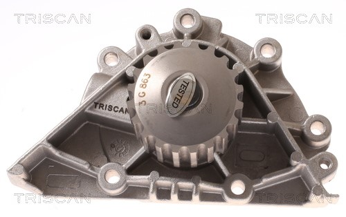 Water Pump, engine cooling TRISCAN 860028012