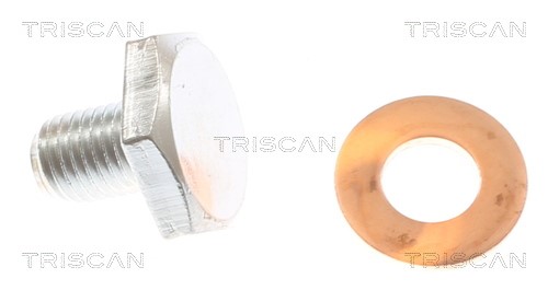 Screw Plug, oil sump TRISCAN 95001010 2