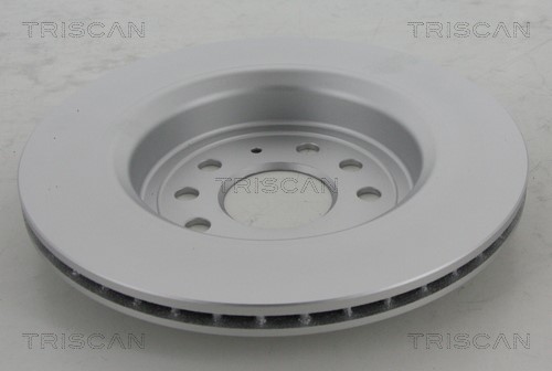Brake Disc TRISCAN 812024146C 2