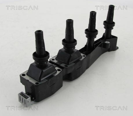 Ignition Coil TRISCAN 886028009