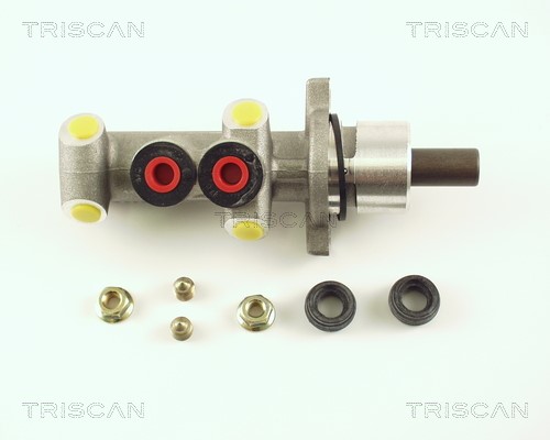 Brake Master Cylinder TRISCAN 813025123