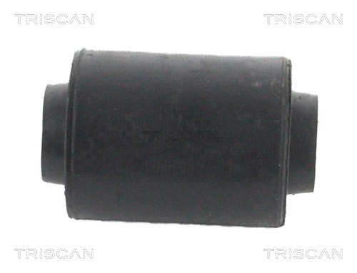 Mounting, control/trailing arm TRISCAN 850029859