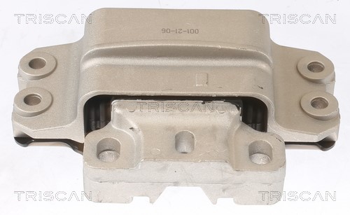 Mounting, engine TRISCAN 850529191