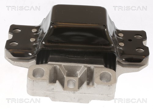 Mounting, engine TRISCAN 850529191 2